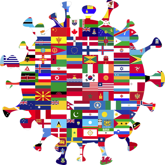 a giant virus with all the world's flags