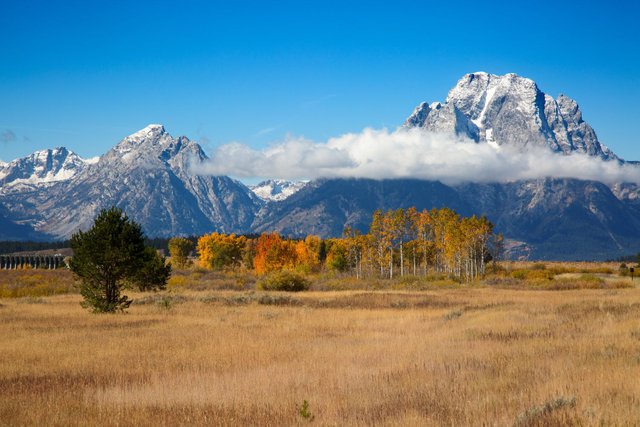 Wyoming landscape with a cowboy riding a horse, symbolizing the state's adventurous spirit