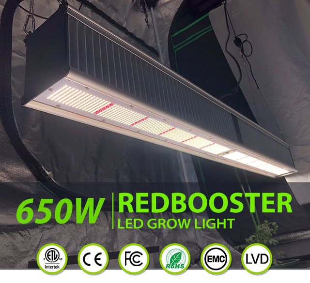 ECO Farm TOP Series 650W/800W Full Spectrum Commercial LED grow lights for Greenhouse
