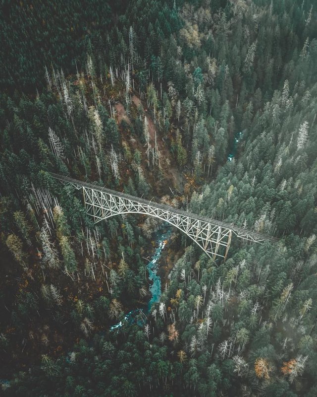 How to Jump From a Bridge or Cliff Into a River