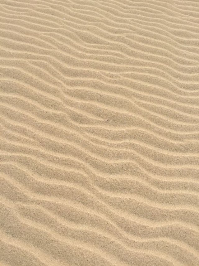 Is Quicksand Real? How do you Escape From Quicksand?