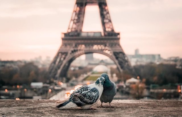 19 Bewitching Ways to Make Your Sweetheart's Love-Gears Turn