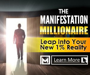 Review of The Manifestation Millionaire