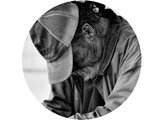 clochard-joru028.jpg