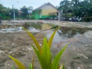IMG20250225090825.jpg