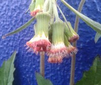 20180719_170338.jpg