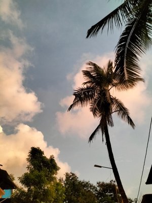 IMG20210920185110.jpg