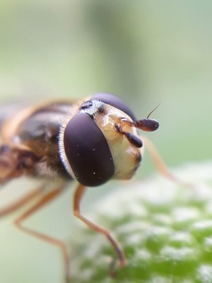 20190615_110807.jpg