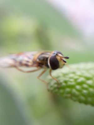 20190615_110753.jpg