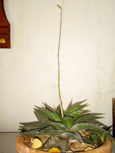 IMG-20210928-WA0009.jpg