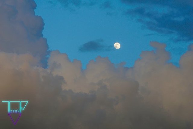 walkjuly25-6.jpg