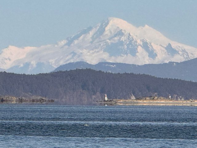 IMG-20250211-WA0130.jpg
