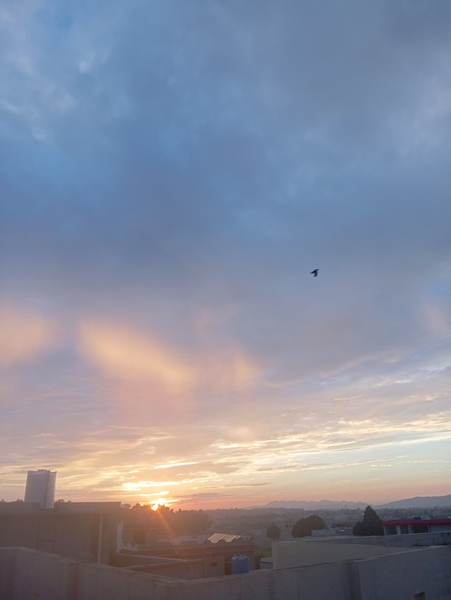 1000566509.jpg