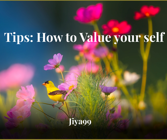Pink Yellow Blue Bold Nature Photo Spring Season Message Facebook Post_20250823_043450_0000.png