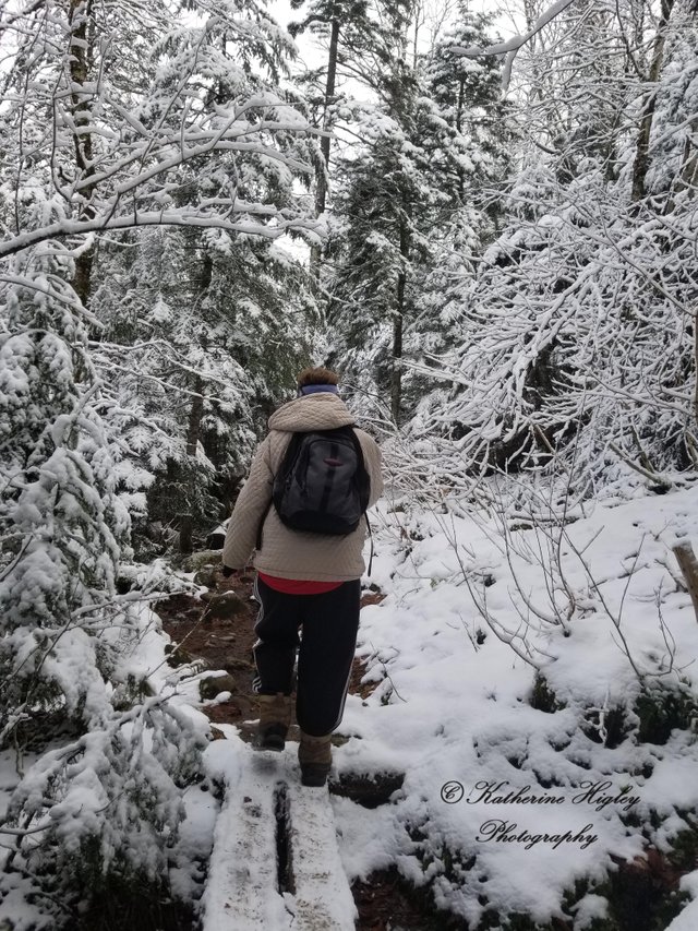 A Trail w snow.jpg