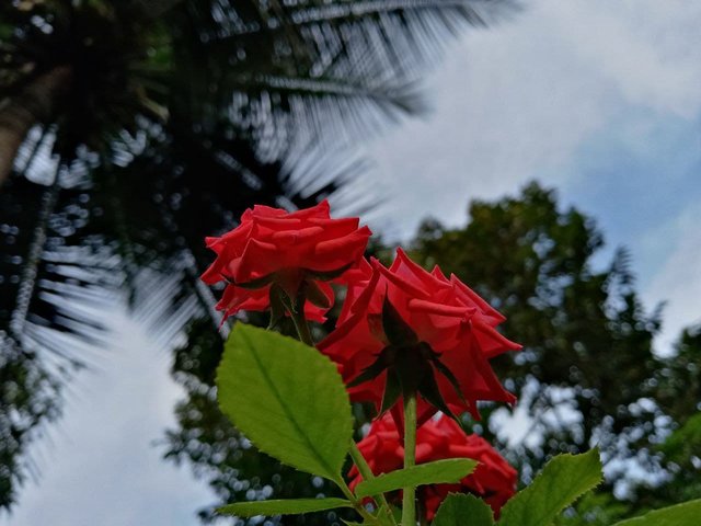 photo_2021-07-08_17-50-43.jpg