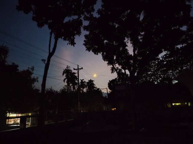 1000052006.jpg