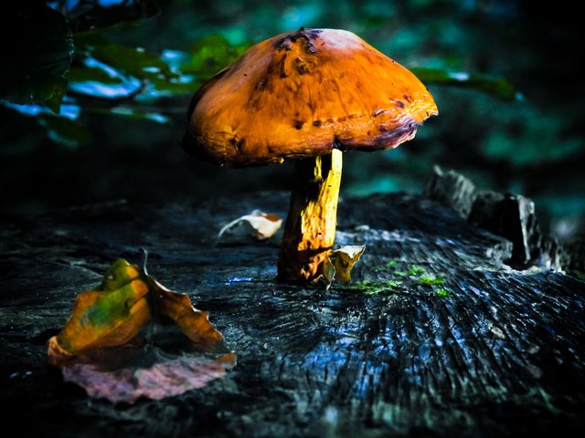 2 DSCN2576s.jpg