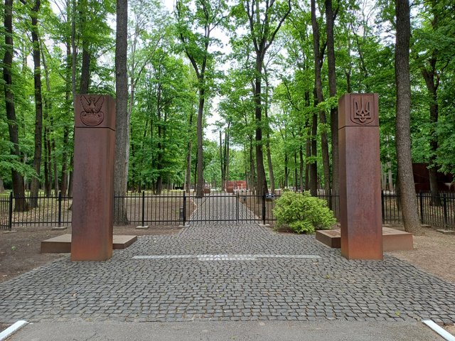 20250517_164733.jpg