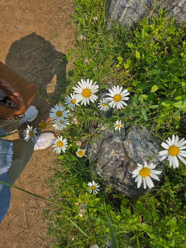 1000006103.jpg