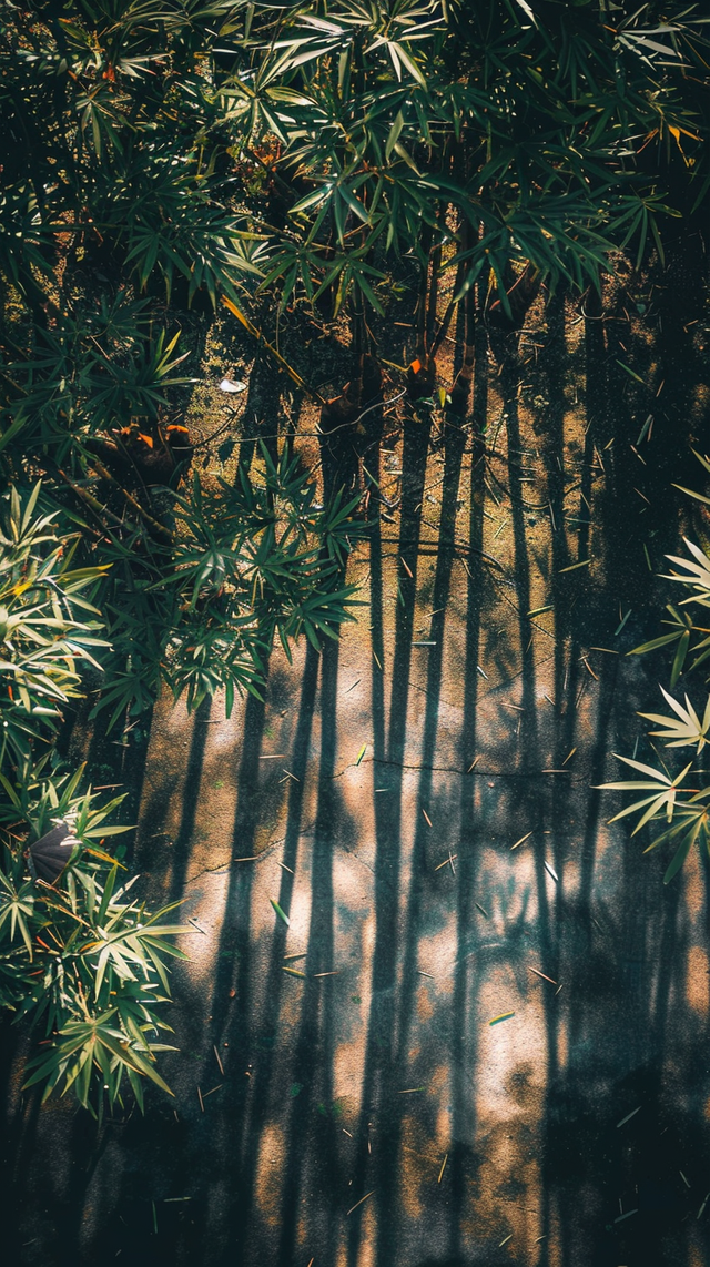 _Top-down_view_of_a_bamboo_forest_with_sunlight_filtering_through_the_lea_6636d84efbd56679b8728fcf_1.png