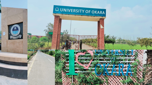 Untitled design (27).png