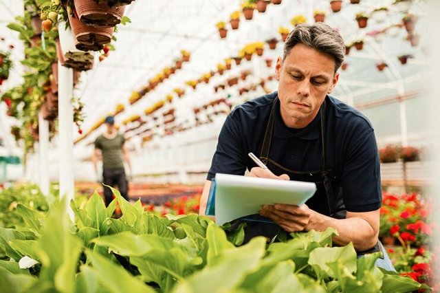 male-gardener-checking-stock-plant-nursery-taking-notes-clipboard_637285-1522.jpg