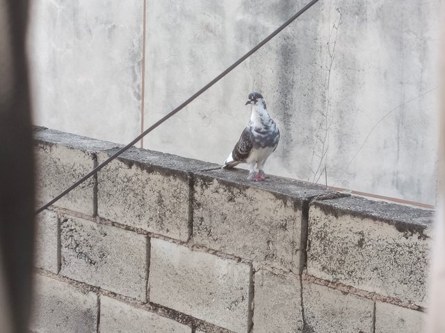 1000141565.jpg