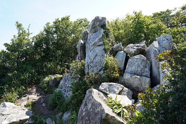 b-DSC08328.JPG