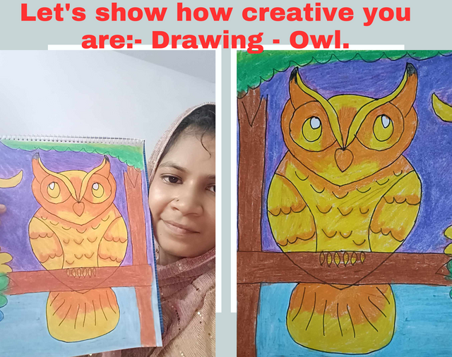 Let's show how creative you are- Drawing - Owl..png