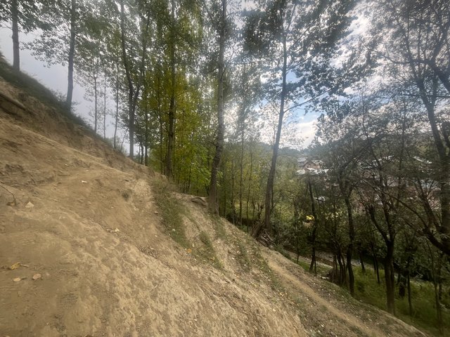 IMG_5067.jpeg