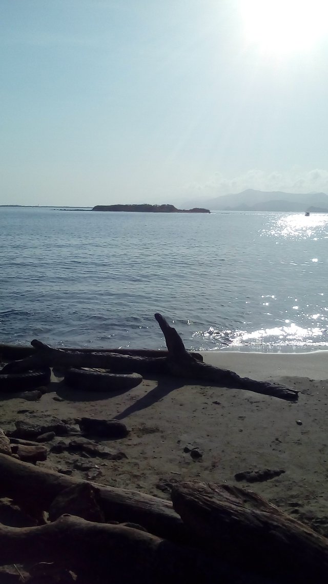 IMG_20200224_080703.jpg