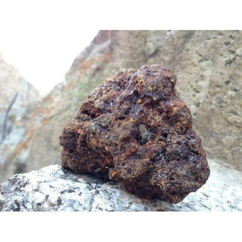 shilajit-500x500.jpg