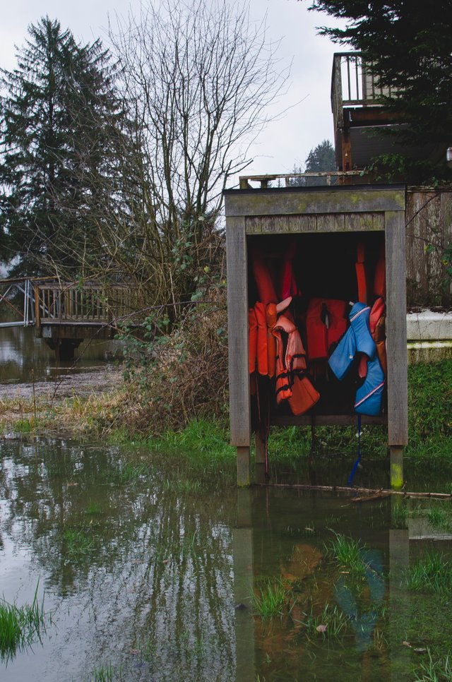 The back of the flooded dock.JPG