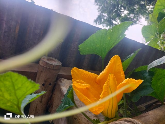 IMG20250606094323.jpg