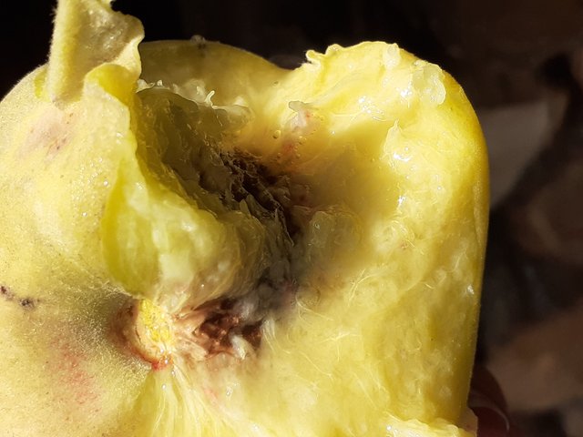 20250901_141256.jpg