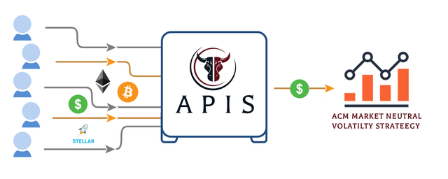 apis-token-pictographic.png