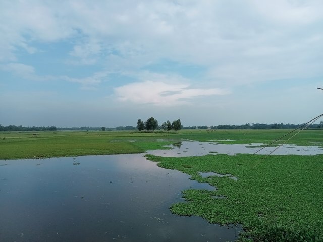 IMG20221002150832.jpg