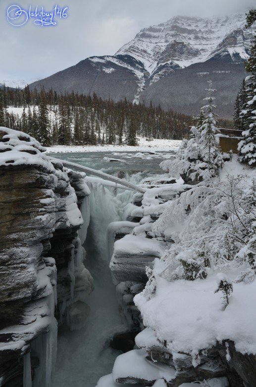 athabasca_falls12.jpg