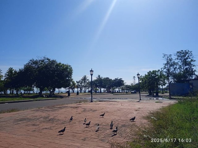 IMG-20250617-WA0156.jpg
