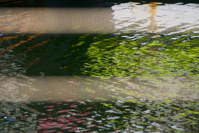 DSC08318.jpeg