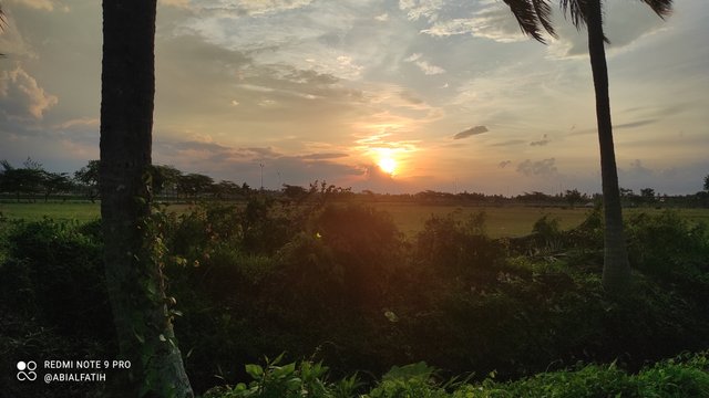 IMG_20250530_182215.jpg