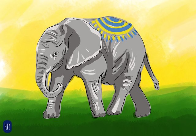 elephant (452).jpg