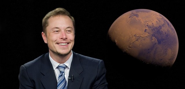 elon-6083103_960_720.jpg