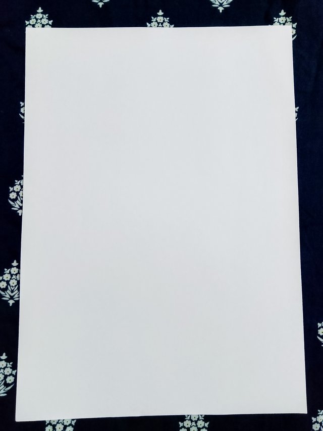 1000083056.jpg