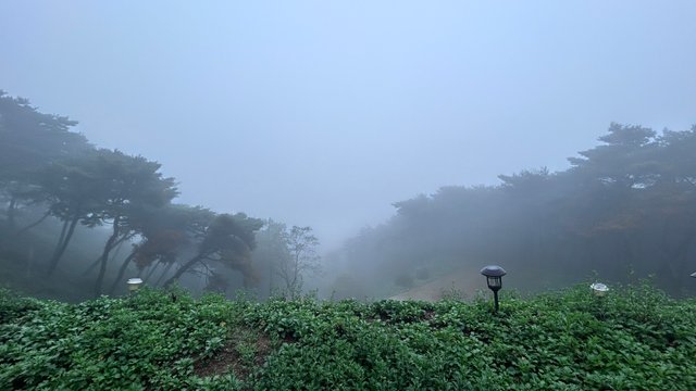 IMG_5751.jpeg