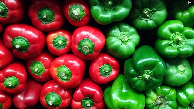 green and red peppers colorful photography bxlphabet.jpg