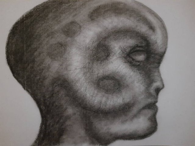 20250629_100627.jpg