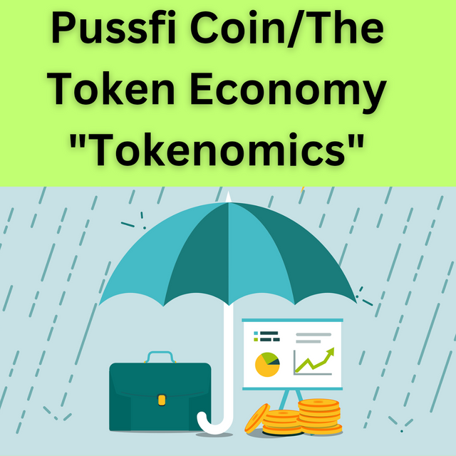 Pussfi Coin_The Token Economy _Tokenomics__20241207_071614_0000.png