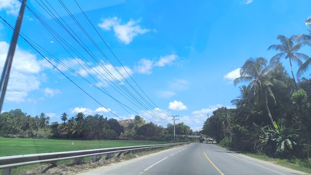 1000426205.jpg